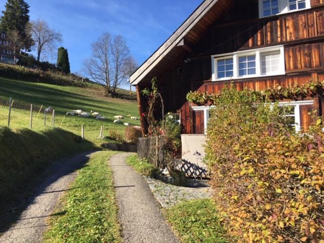 Gemutliches Ferienstudio Lägenhet Heiden Exteriör bild